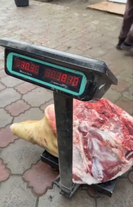 Продам мясо домашней свинины