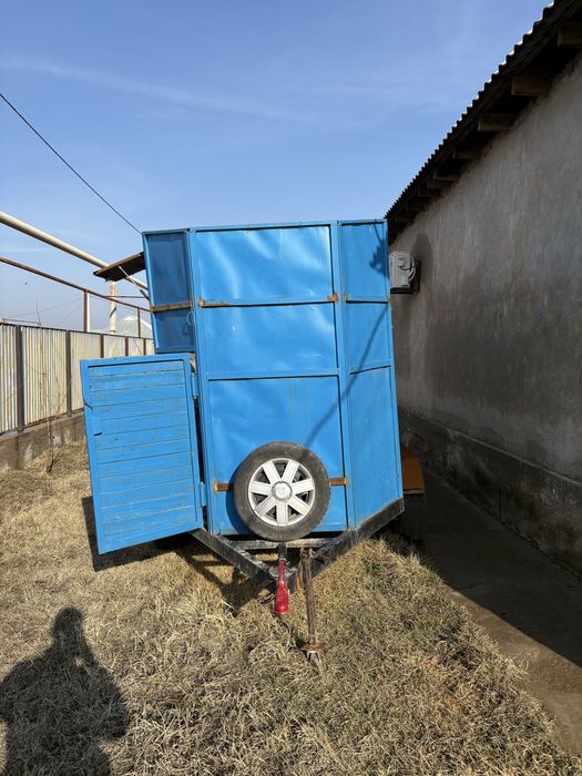 Ат барба сатылады