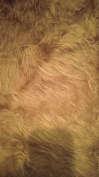 Булани за легло - нови