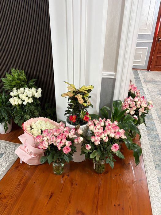 Цветы,роза гул..