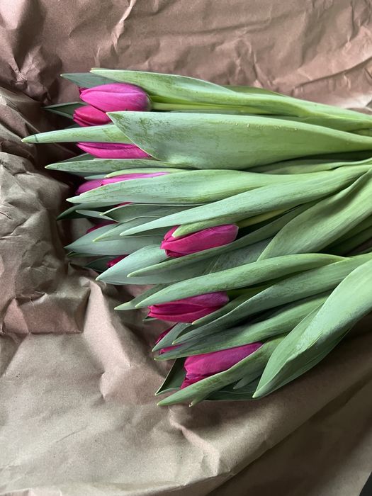 Продажа тюльпанов оптом к 8 марта