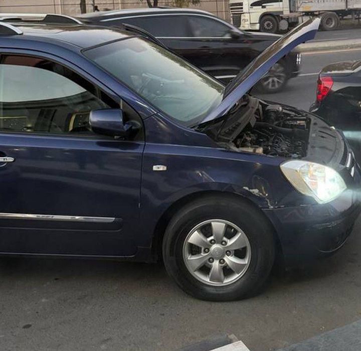 Продам кия карнивал