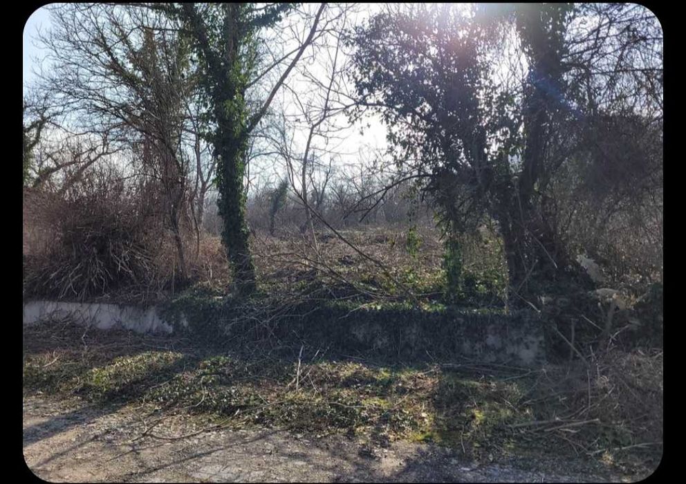 Продава се Парцел в Дряново - 1700 кв.м за 7 €/кв.м - Снимка #2