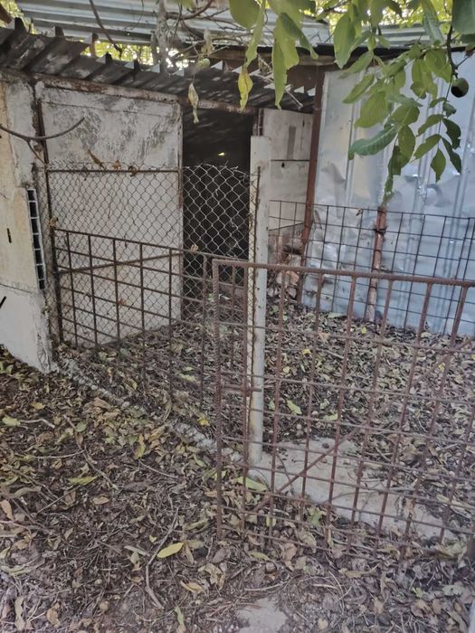 Продава се Склад в Плевен, Индустриална зона - Запад - 3582 кв.м за 67 €/кв.м - Снимка #21