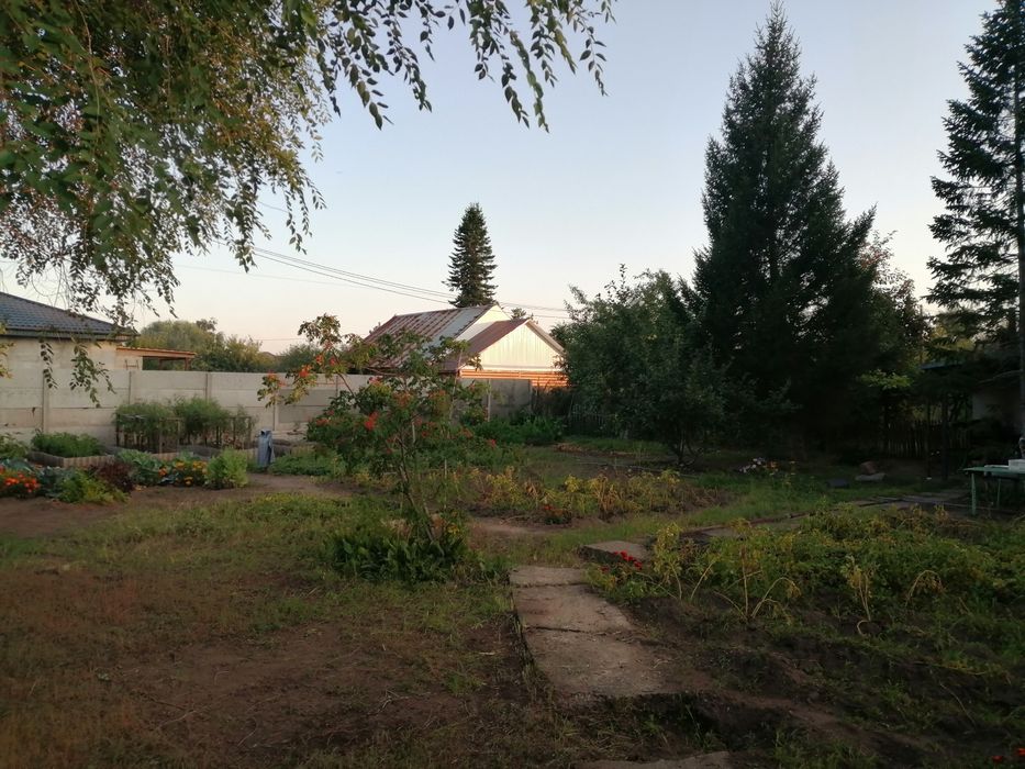 Участок. Около дома малютки