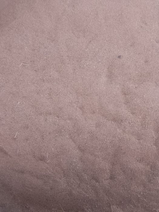 Grâu și orzoaică sămânță