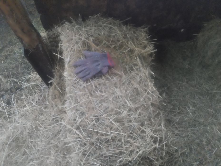 Продам сено в тюках