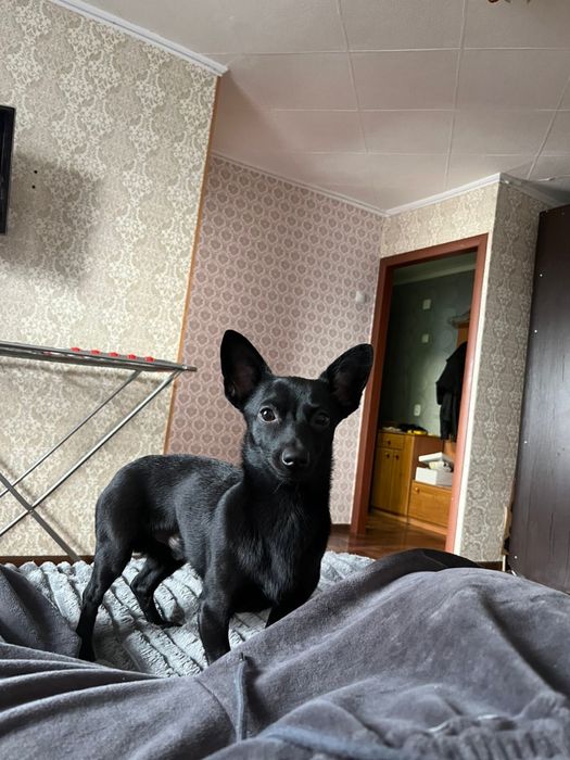 Кабель для вязки