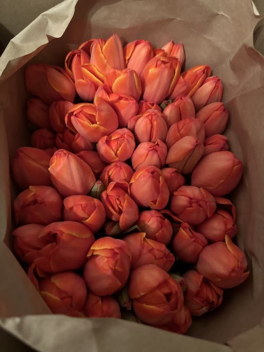 Тюльпаны к 8 марта премиум сорт