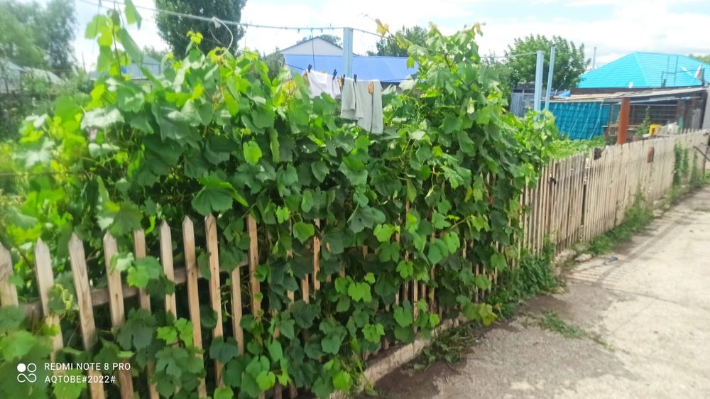 Продам частный дом