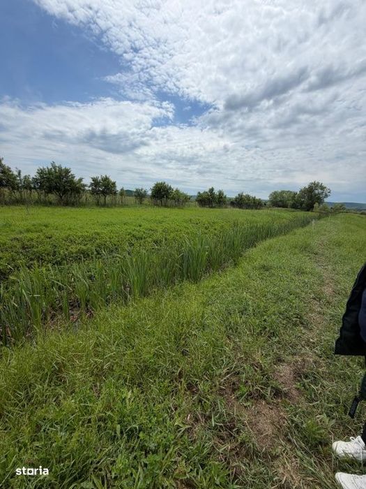 Teren de 6000 mp, vizavi de gara din Filiasi