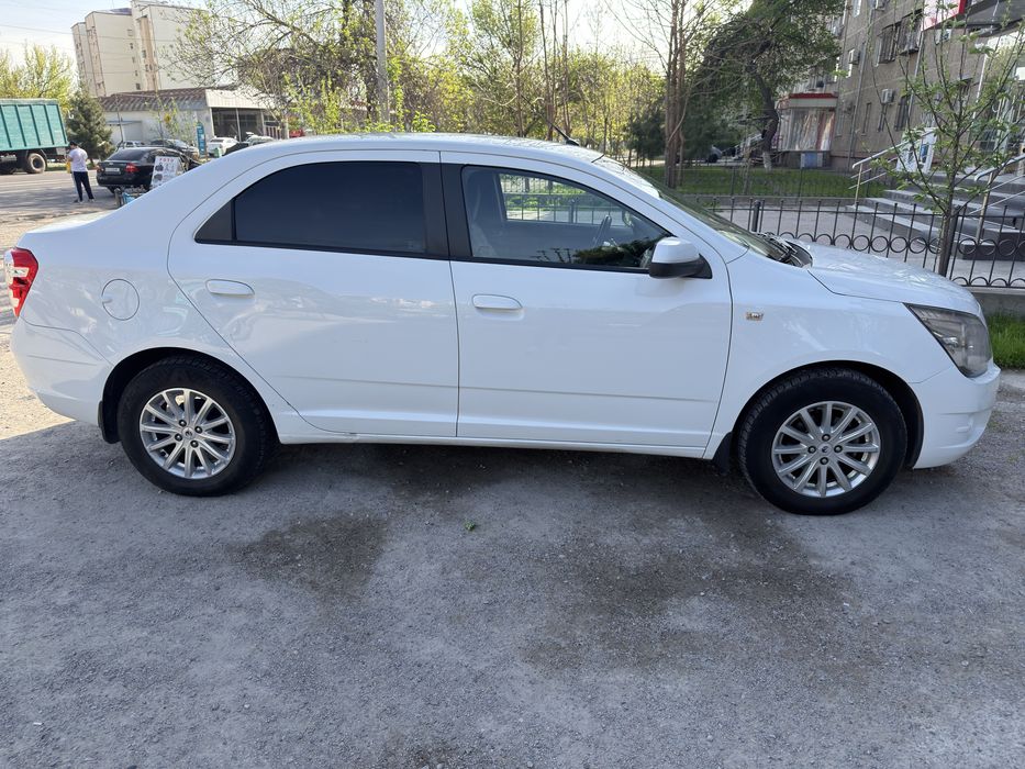 Cobolt ravon 4 pakalenya