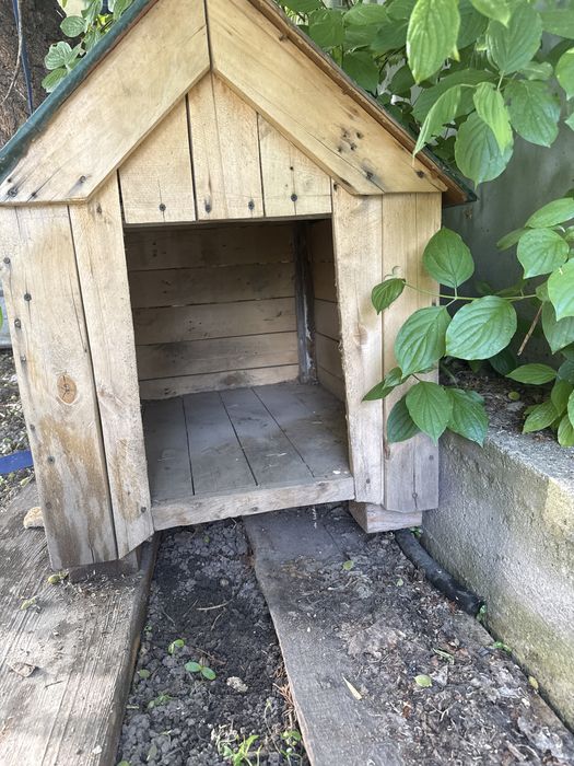 Продам бутку для собак