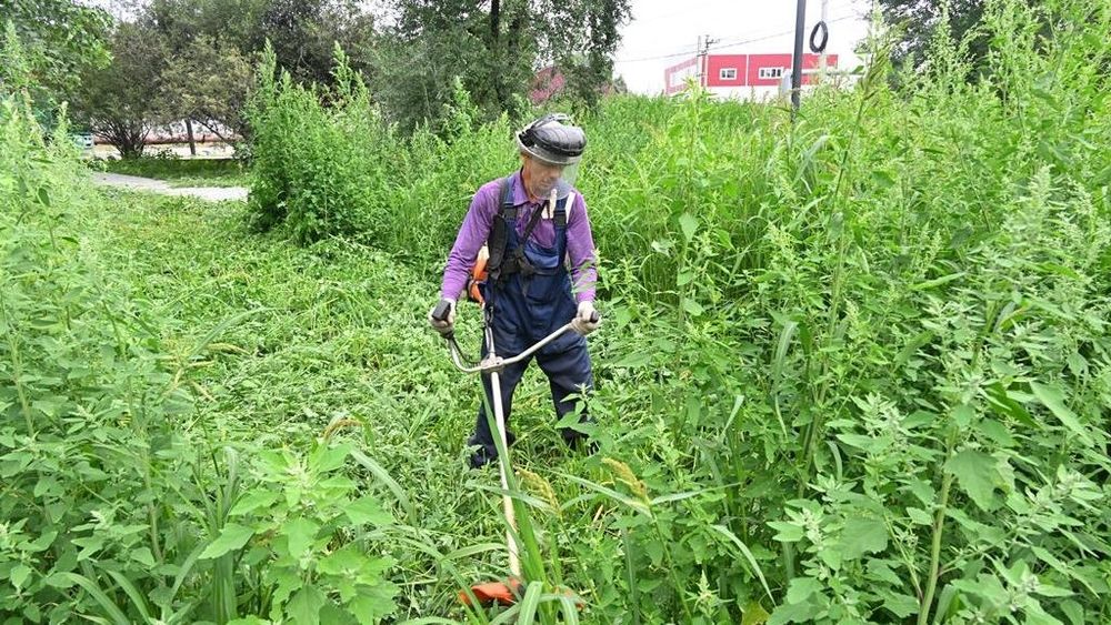 Покос травы Алматы и область