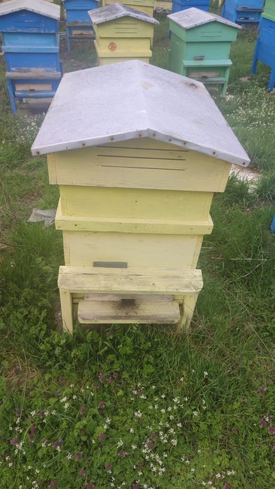 Пчелни кошери 10-рамкови - собствена изработка (без пчели)