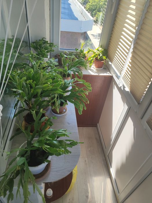 Продам 2х комнатную квартиру