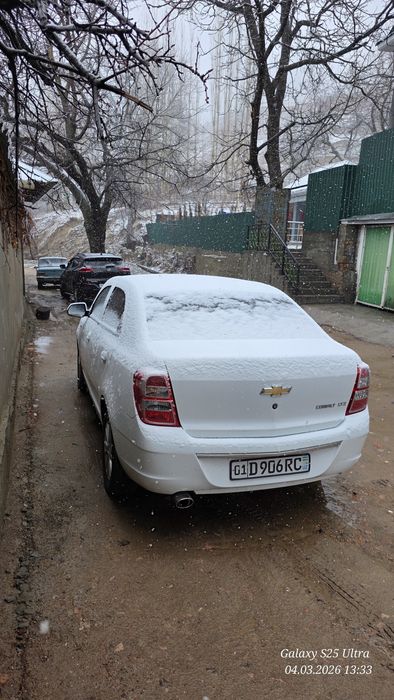 COBALT Avromat  2024  ideal