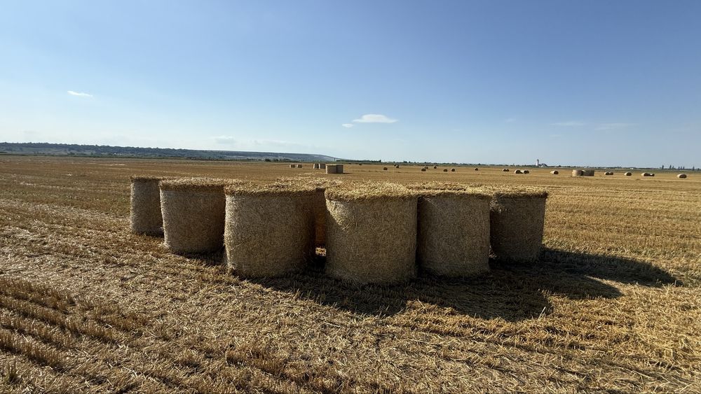 Baloti paie de grau 2025 - Bine presati