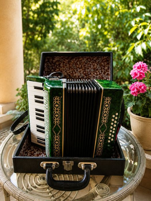 RAR! Acordeon Малыш (Malîș) Made in USSR, anii '70, stare excelentă, cu valiza originala, piesă de colecție