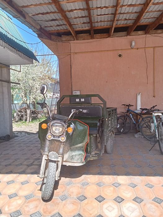 Трицикл муравей.