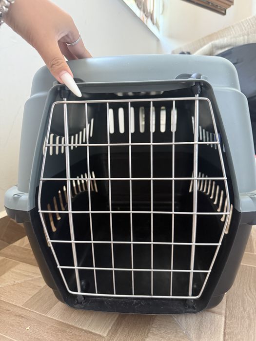 cusca animale de companie