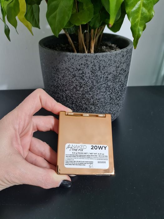 Pudra Stay Naked the fix-20WY