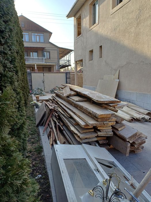 Леса сосна. В отличном качестве.