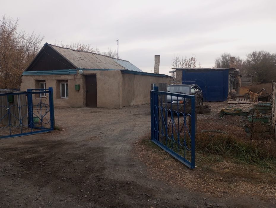 Продаю дом в Долинка