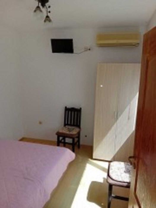 Стаи под наем - целогодишен прием от 20лв.