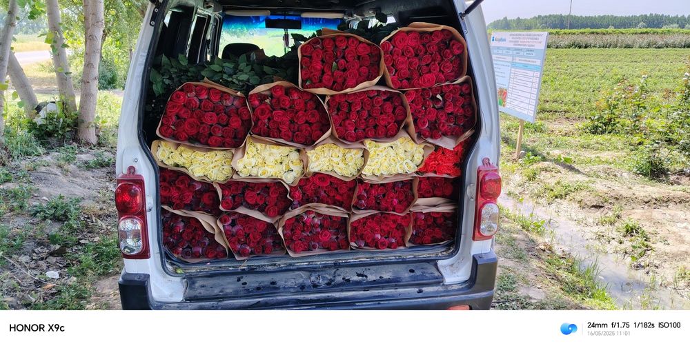 Cheklanmagan miqdorda