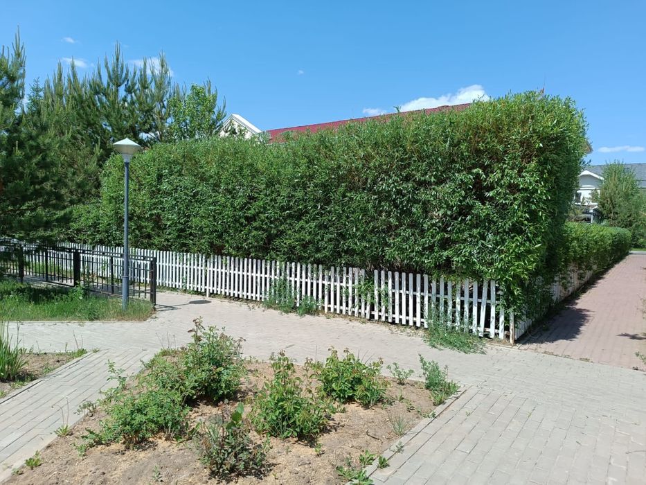 Спил деревьев,подрезка, кронирование!