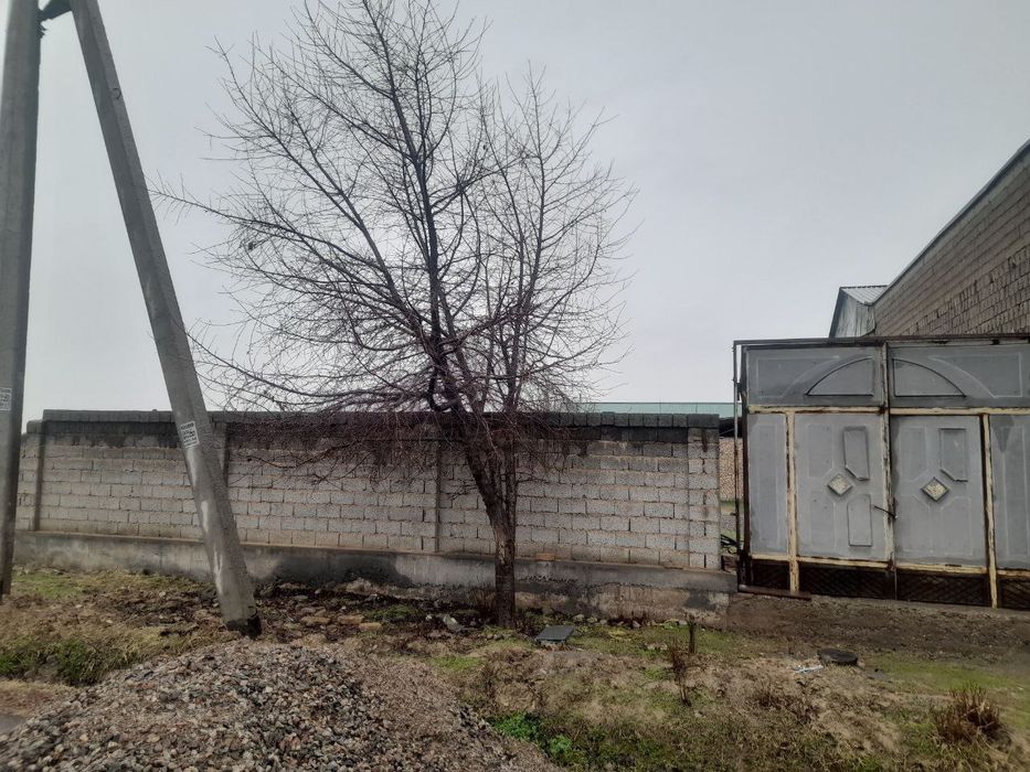 Тошкент ТУ.келес Навоеида жоелашган 5.сутик учамтка ер хисобида сотила