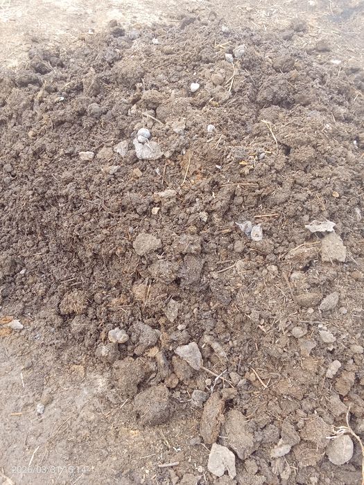 Биогумус сатылады