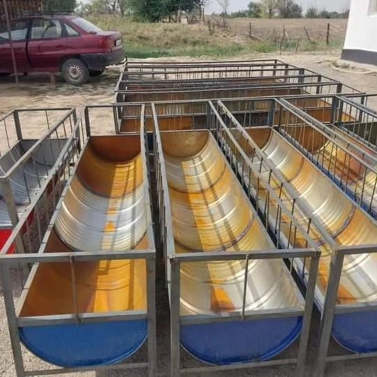 Астау науа ақыр қой