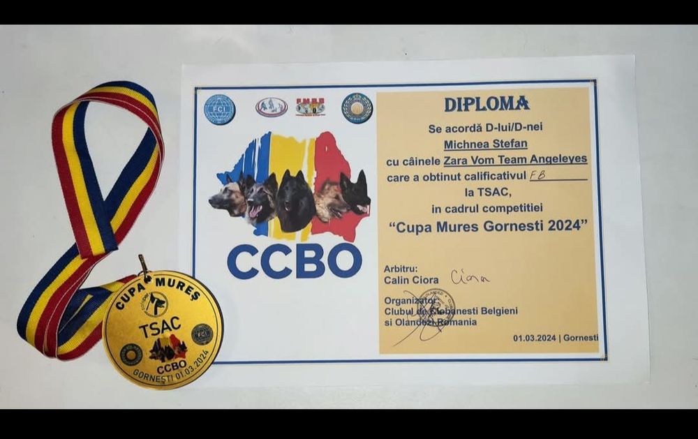 Ciobanesc german de vânzare