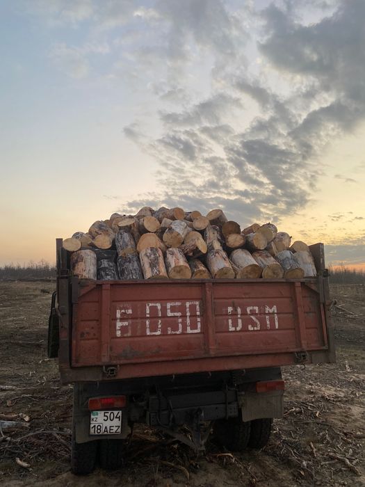 Продам дрова сухостой