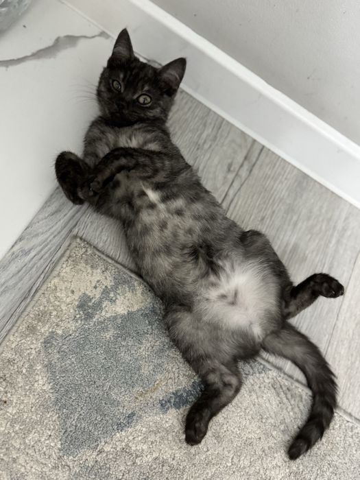 В любящие руки девочка