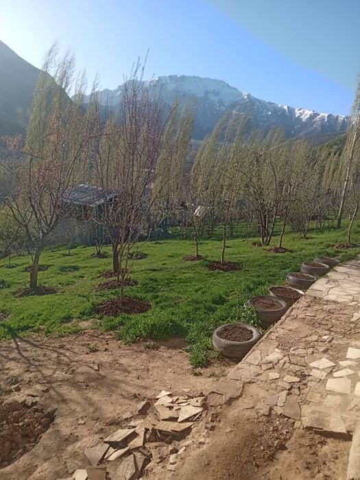 Уй Сотлади Чимёонда