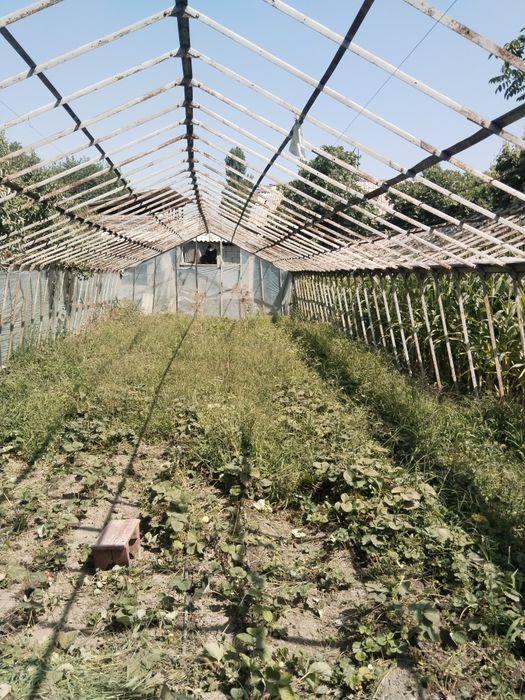 Теплица сотилади конструкторлик хохлаган размерга йеғиб олсез бўлади