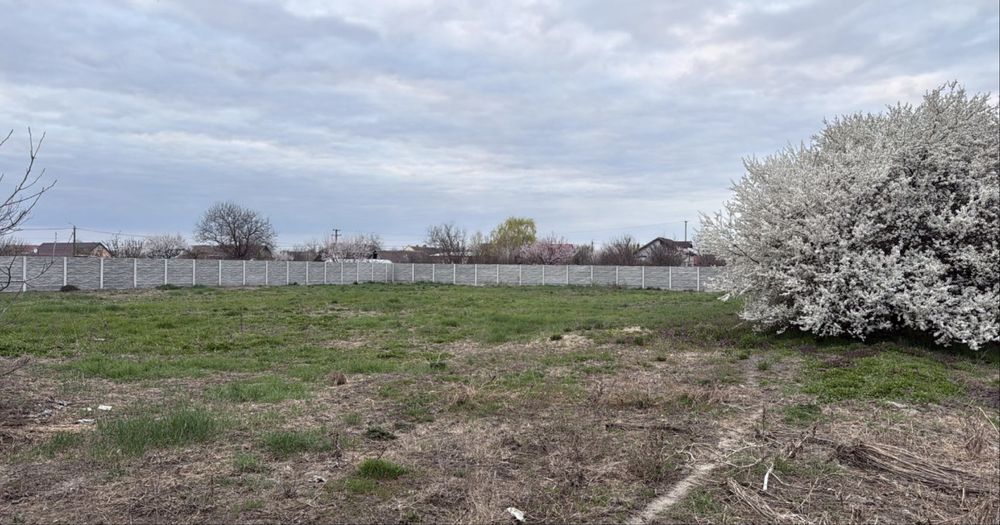 Teren de vânzare Parța 40€mp