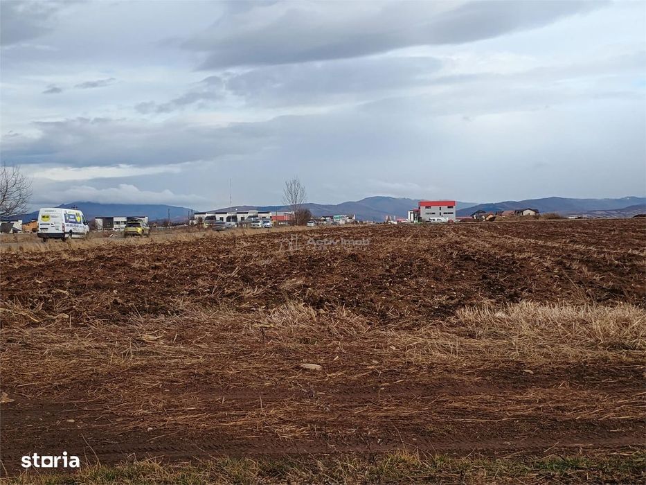 Teren 9000 mp Sacele Izvor, front 356 m la DJ 103A