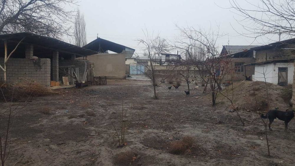 Охангарон.шахарида.18.сотихли.ховли.уй.сотилади.нархи