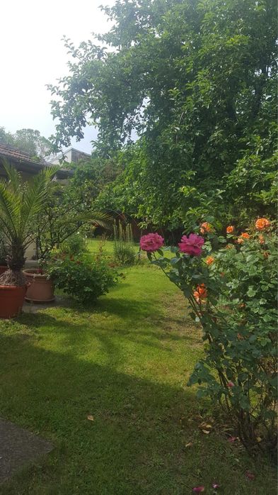 Casa de vanzare in Dorbeta Turnu Severin,langa Dunare