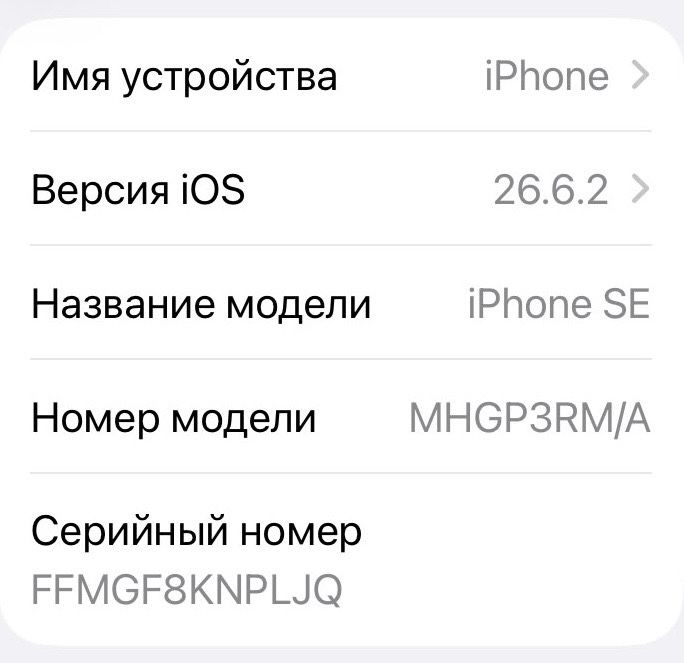 Iphone SE 64гб 2 года кабель в наличии