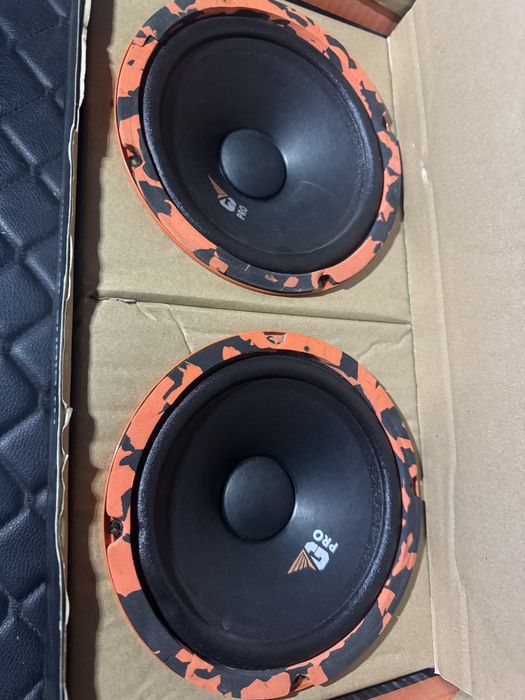 Dl Audio Gryphon Pro