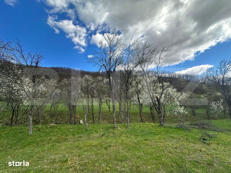 Teren 1 ha langa casa, acces asfalt, zona linistita, Boiu