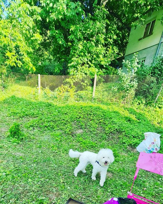 Продава се Къща в София, Център - 70 кв.м за 929 €/кв.м - Снимка #1