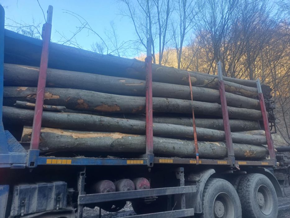 Lemn de Foc Fag !Contra cost se taie si sparg!Cele mai bun preturi !