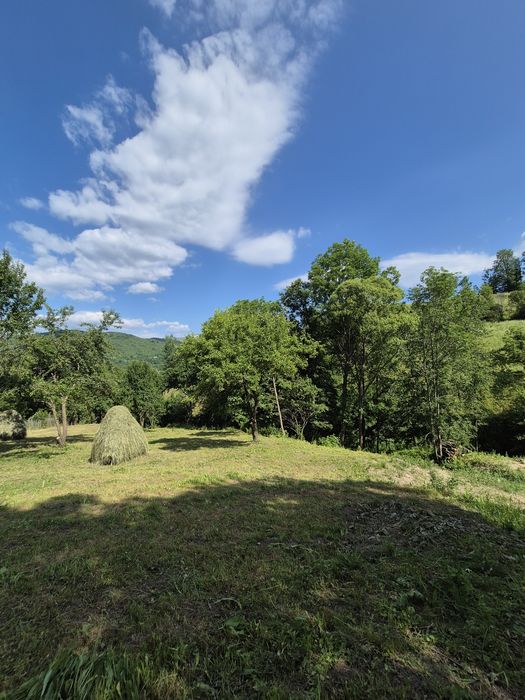 Vând 1200 mp  teren parcelabil in Valea Doftanei . Prahova