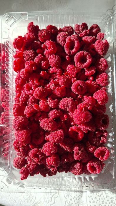 Malina bor / Малина